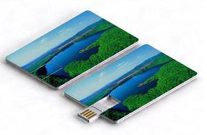 Credit Card USB Drive