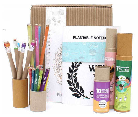 Plantable Stationery Box